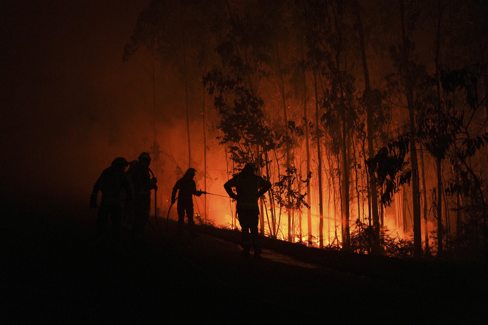 Over One Million Hectares Burned in EU Forest Fires This Year