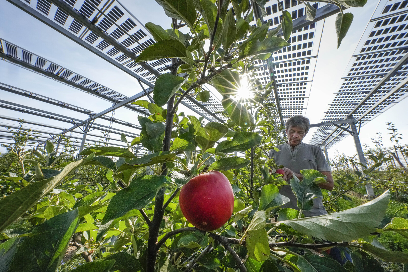 Eight Unconventional Places for Solar Panels Beyond Villas