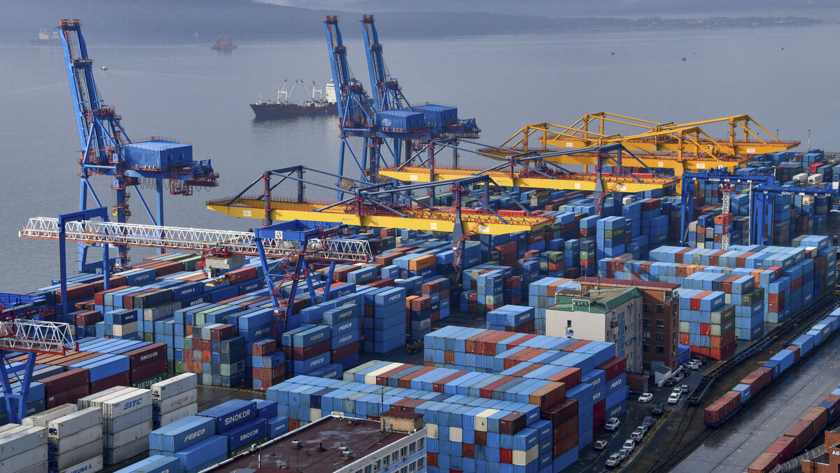 Alarm: Companies violate Russian sanctions