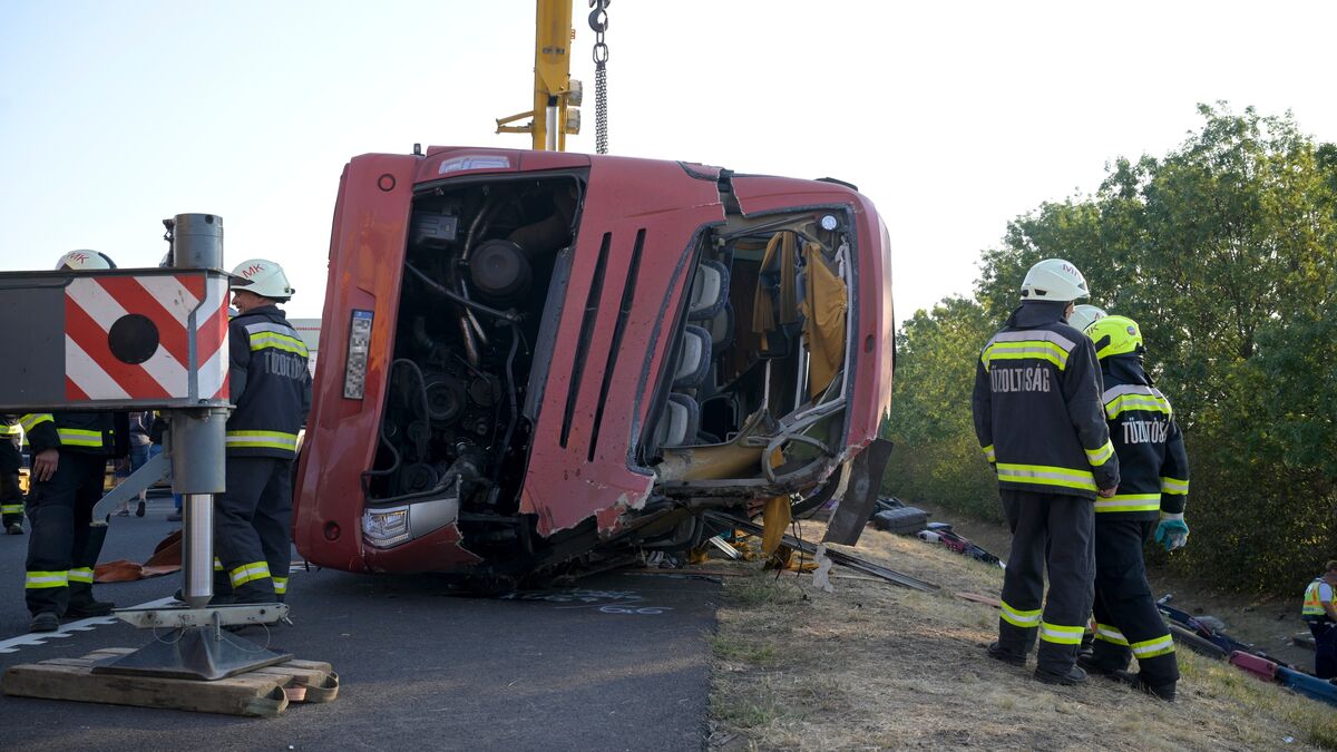 Twelve dead in bus crash