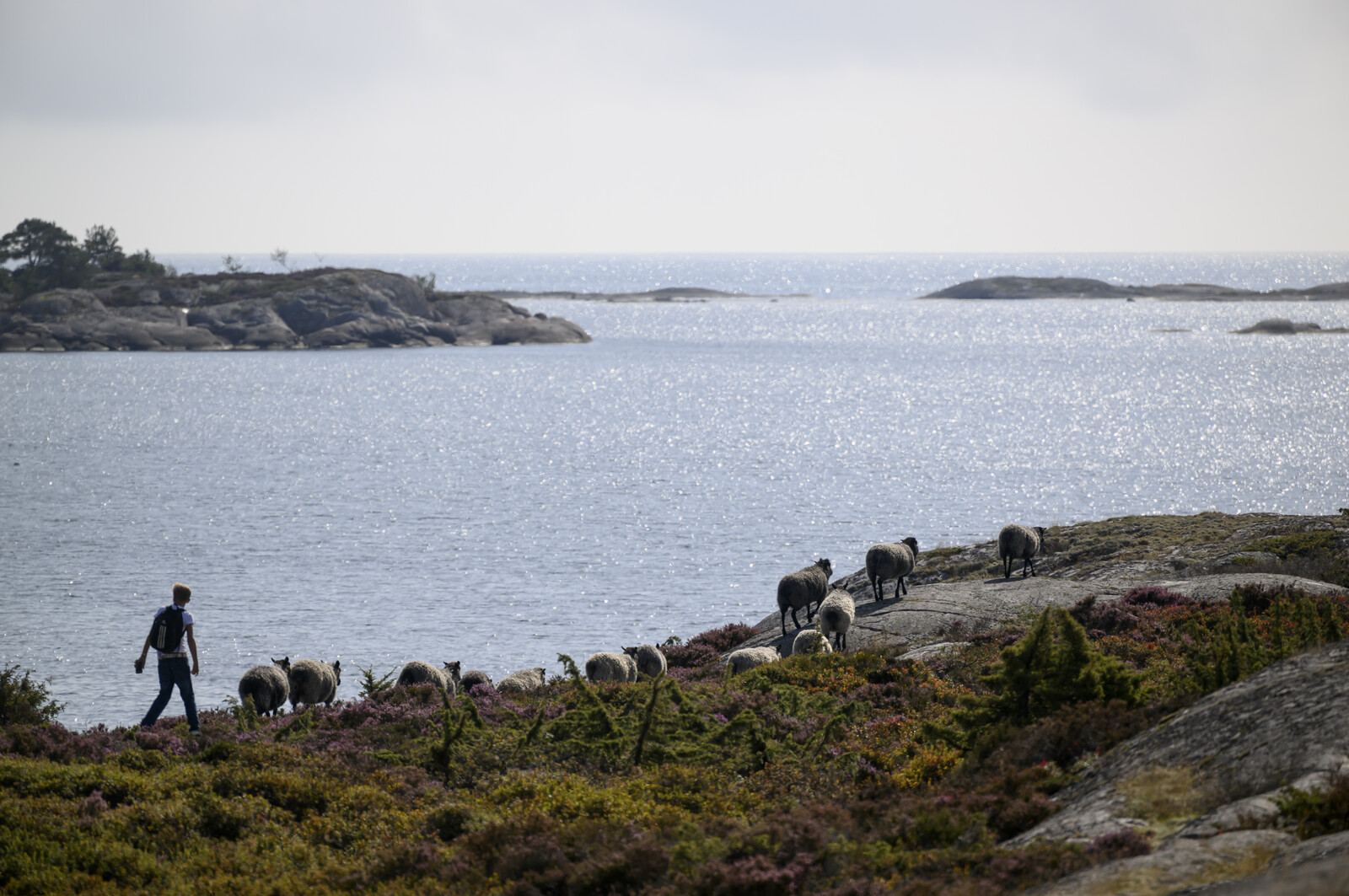 Baltic Sea's First Marine National Park Opens in Stockholm Archipelago