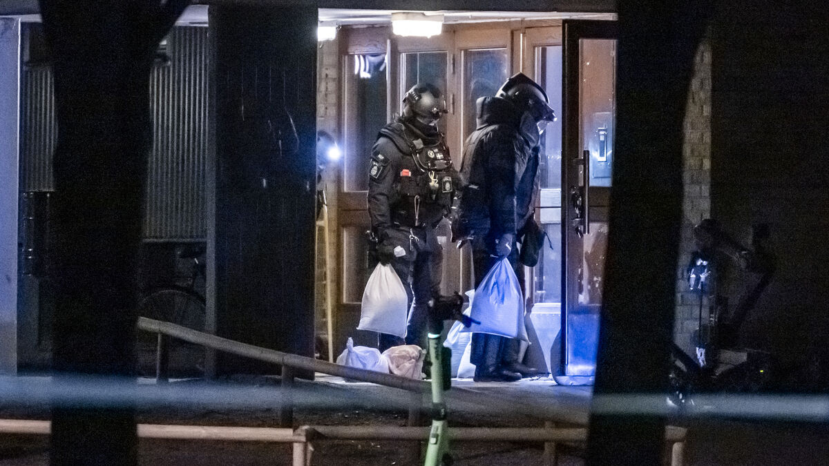 Swedish Customs report zero seized hand grenades at the border