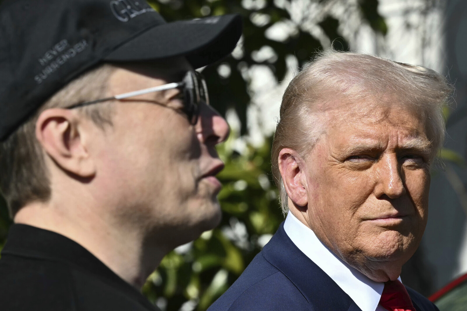 Judge Halts Trump and Musk's Downsizing Plans for Two Weeks