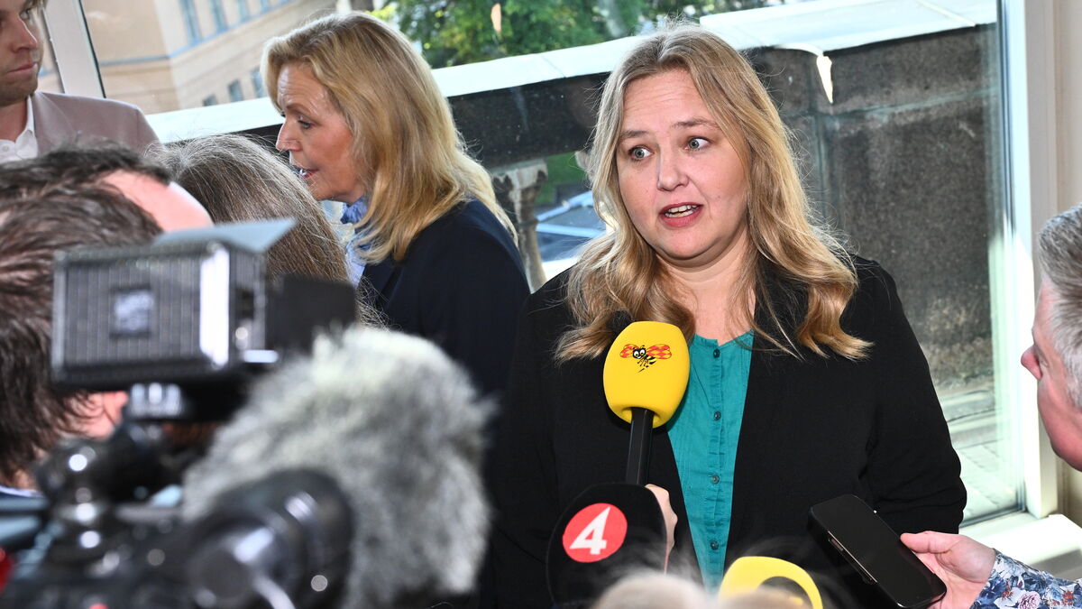 Left Party rejects S claims