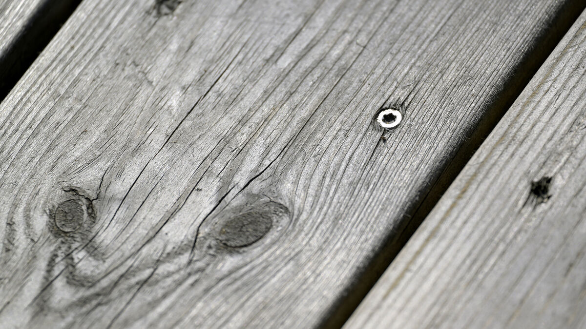 Wooden decks and animals – here are the hottest posts of the year