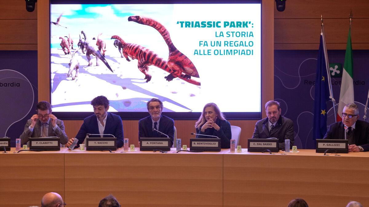 Record-breaking collection of dinosaur tracks