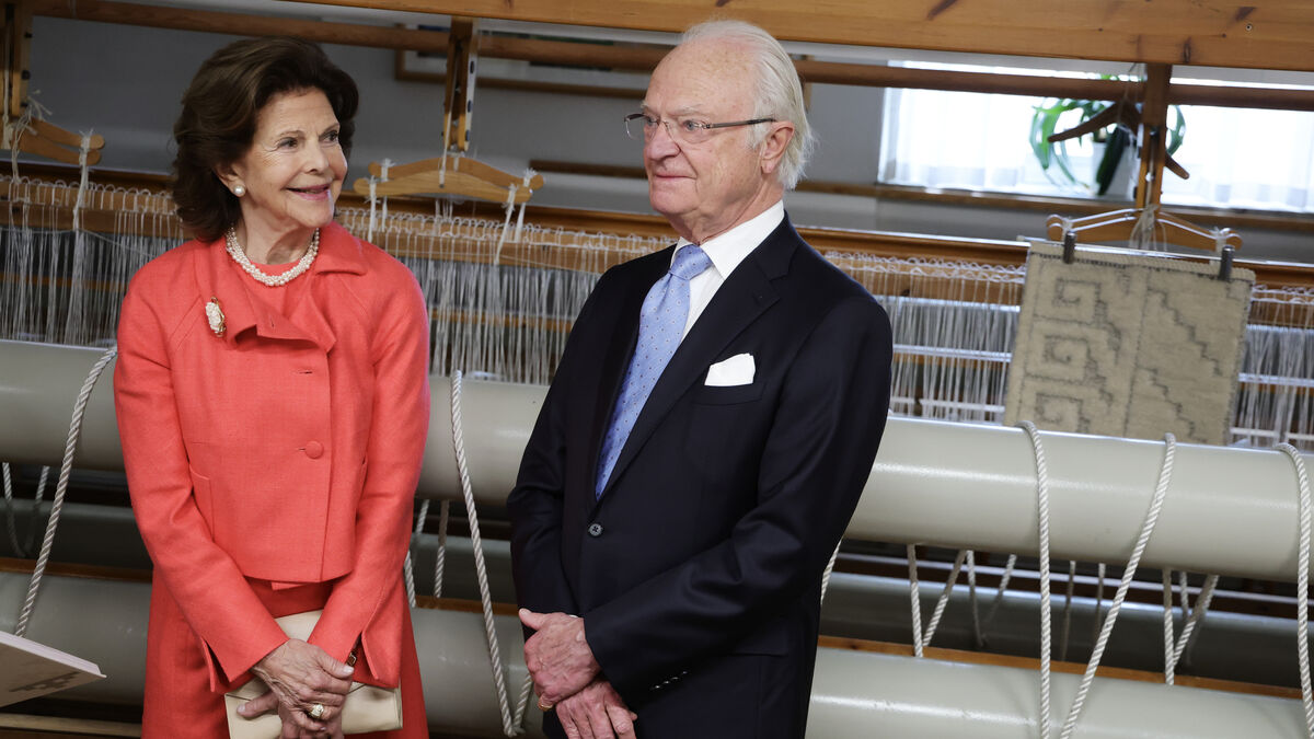 The King says the TV series Queen Silvia feels terrible