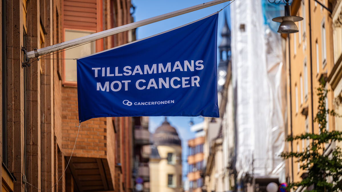 Meta Reverses Decision, Allows Mammography Ads on Facebook