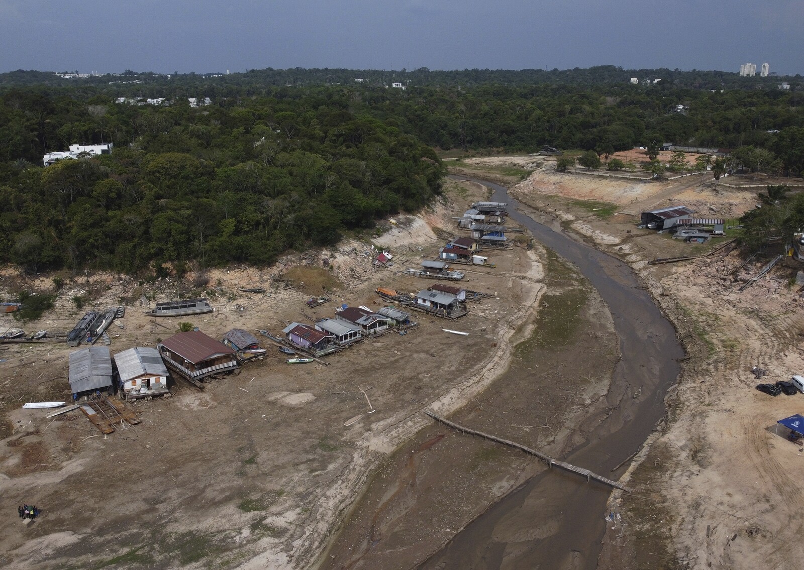 Less forest makes Amazon both