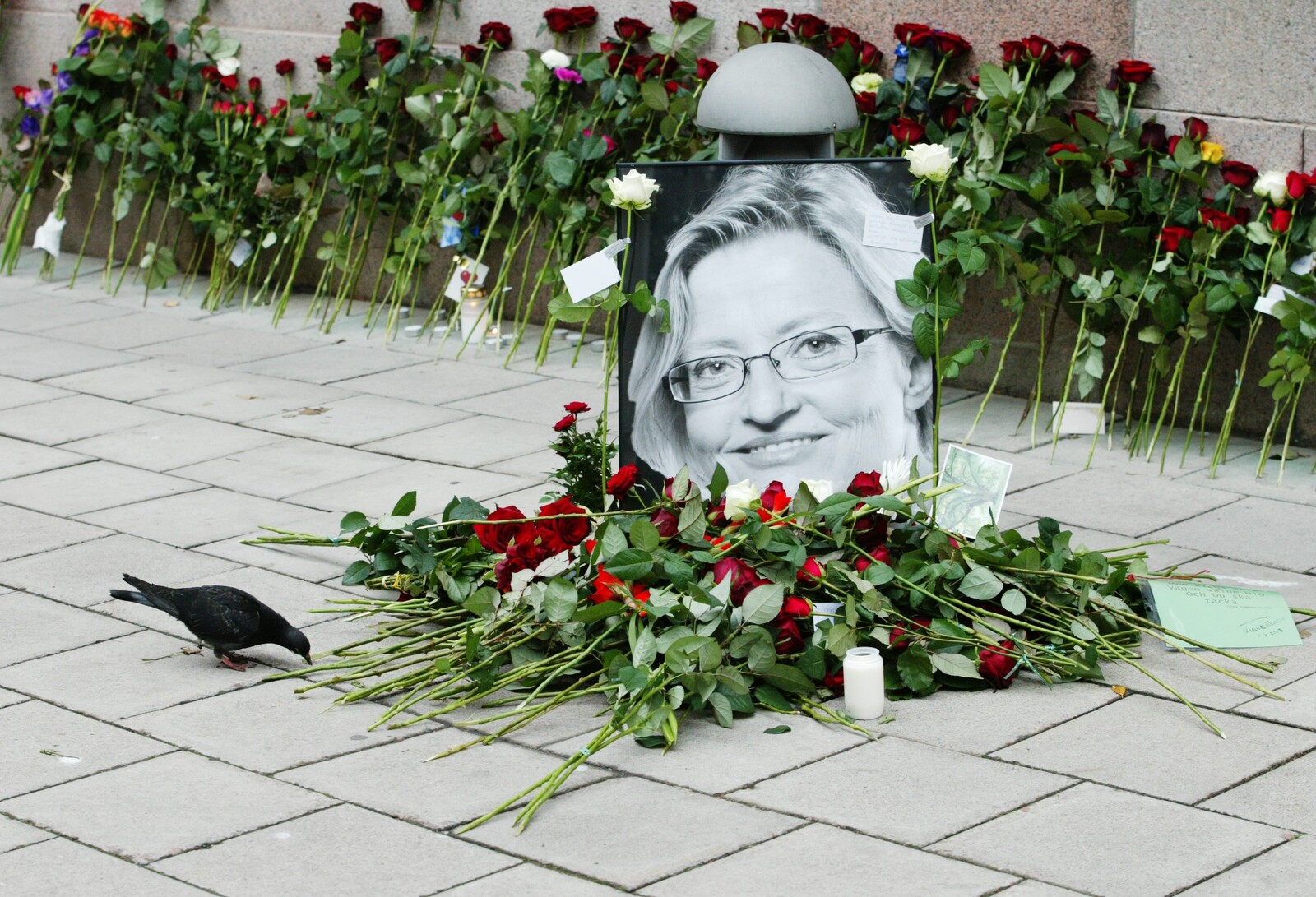 Anna Lindh's Killer Mijailo Mijailovic Granted First Leave