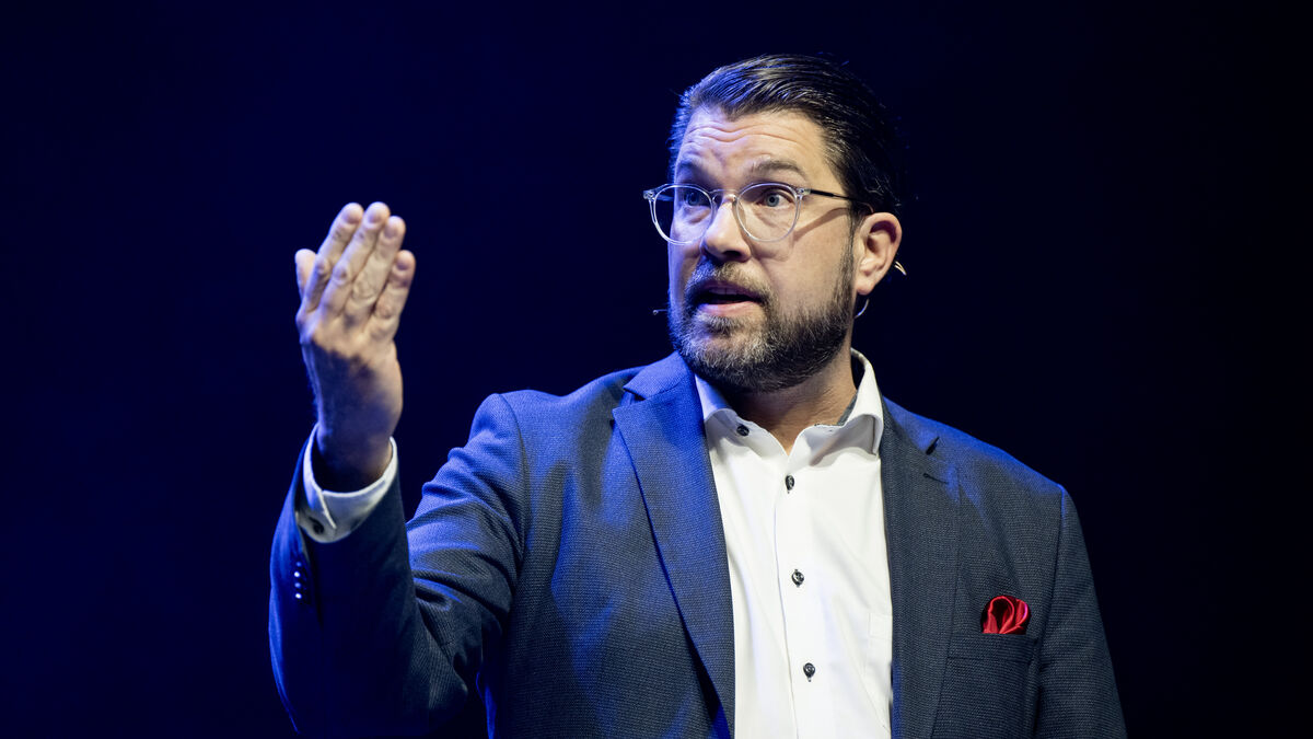 Sweden Democrats want nearly half of ministerial posts
