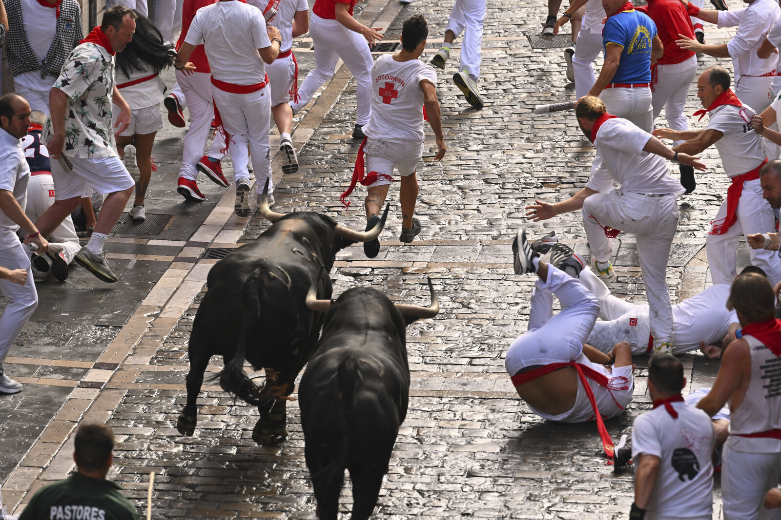 Controversial Bull Running Festival Begins