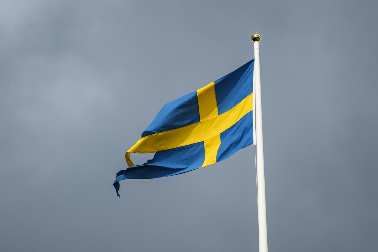 OECD Warns of Rising Risks for Swedish Economy Amid Global Uncertainty