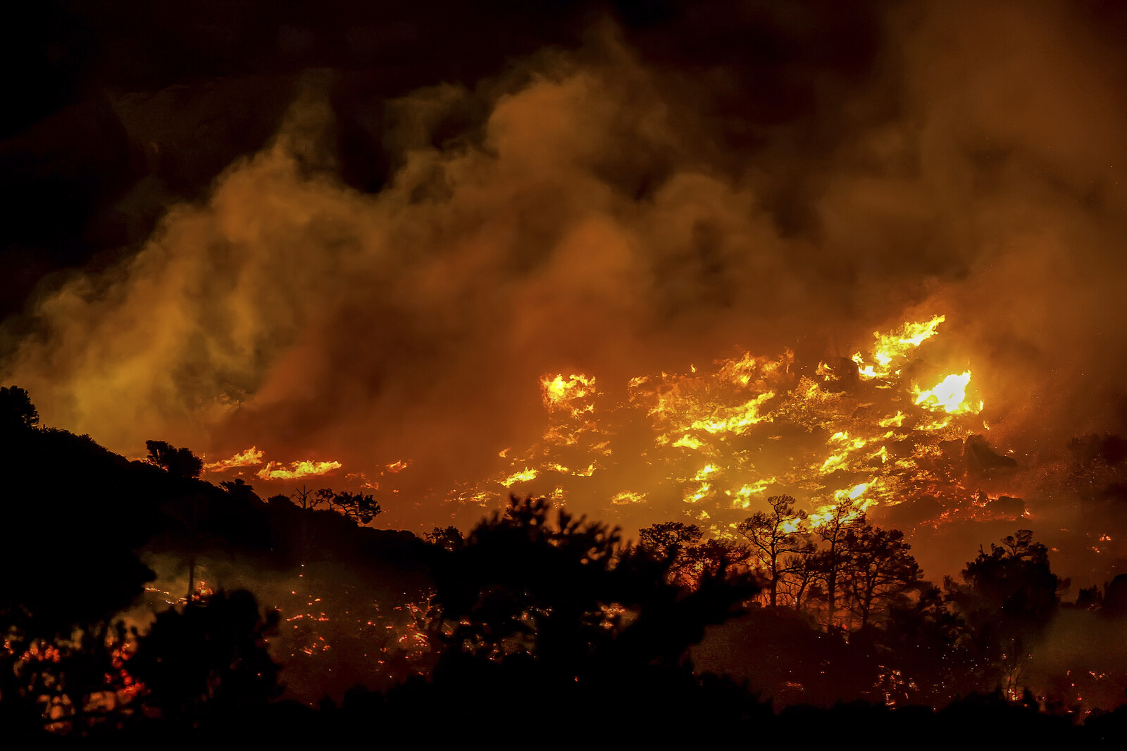 Crete Wildfires: Charter Companies Ready