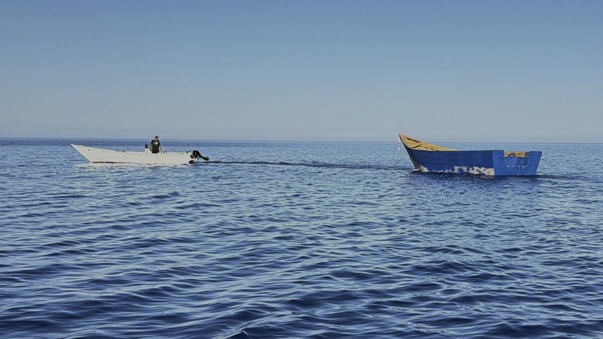 At least 606 migrants dead
