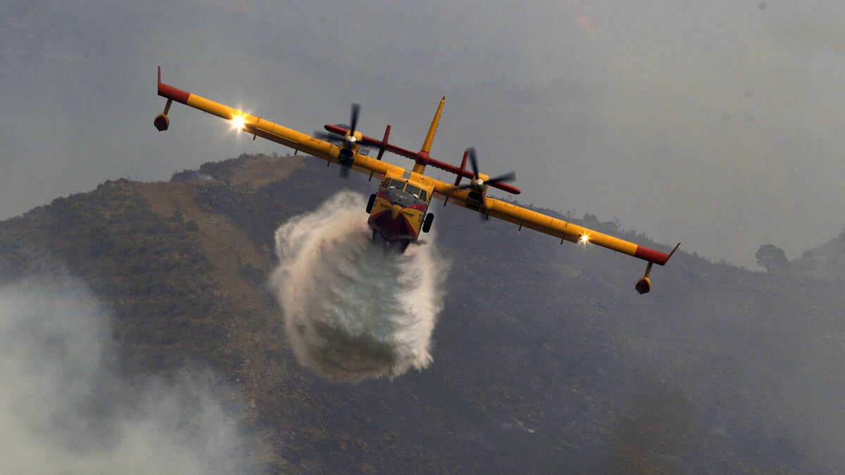 Spain wildfire destroys more than 14,000 hectares in northeast, evacuations continue