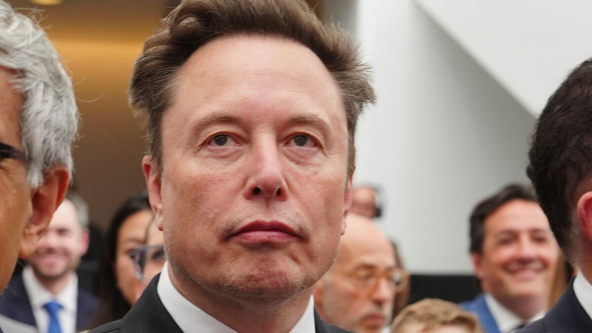 Critics Pan Elon Musk’s AI