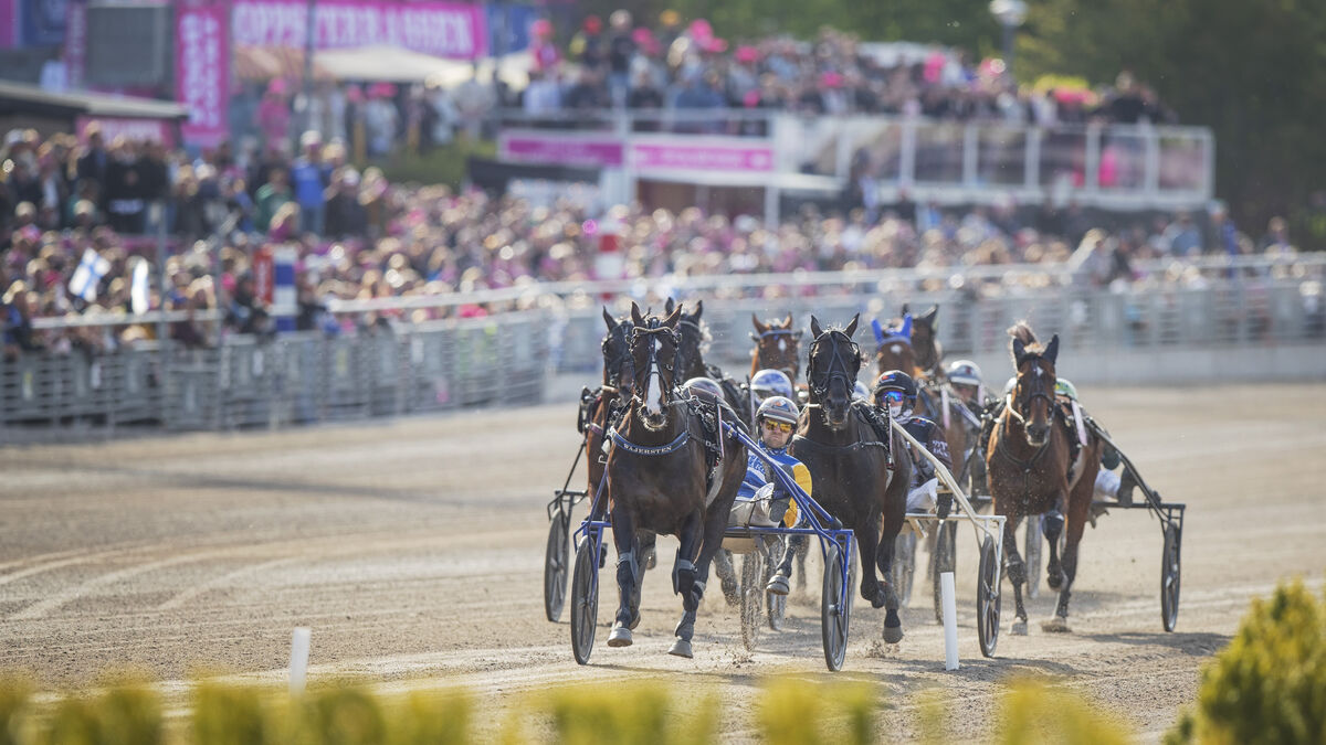 Star trainer Maria Törnqvist gets license back after horse-whipping suspension