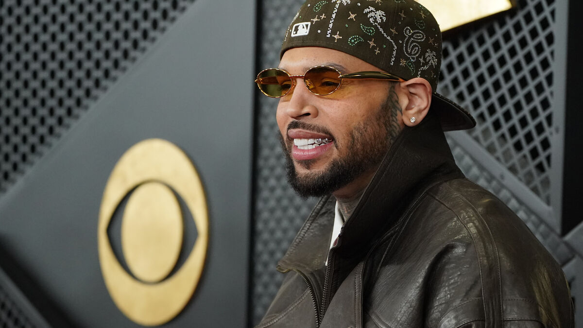 Chris Brown ordered to pay $13 million after dog attack on housekeeper