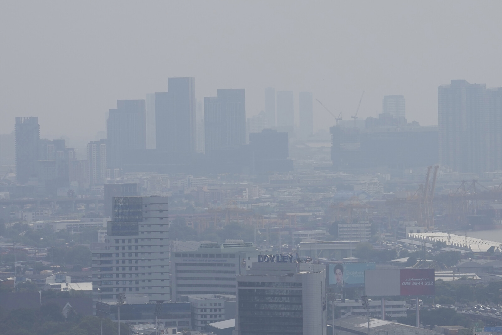 Free Collective Transportation in Smog-Hit