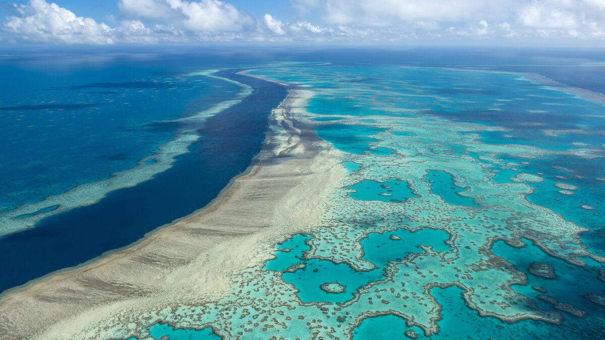 Great Barrier Reef avoids endangered