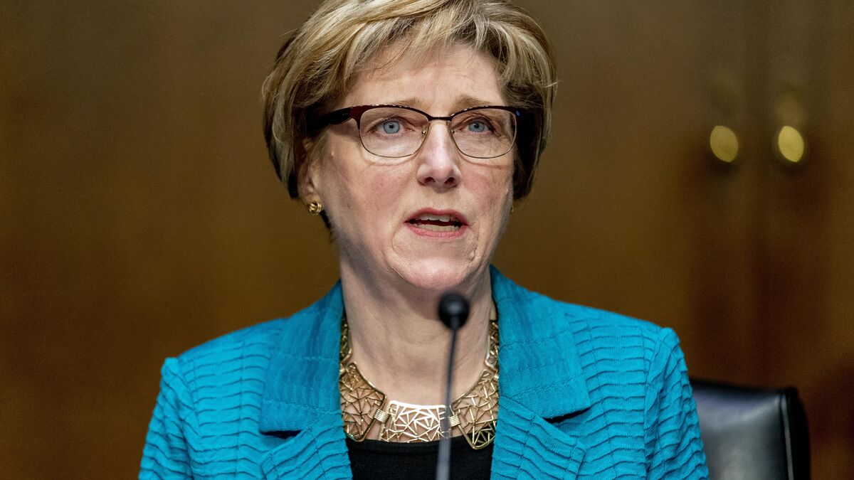 US chargé d'affaires Laura Dogu