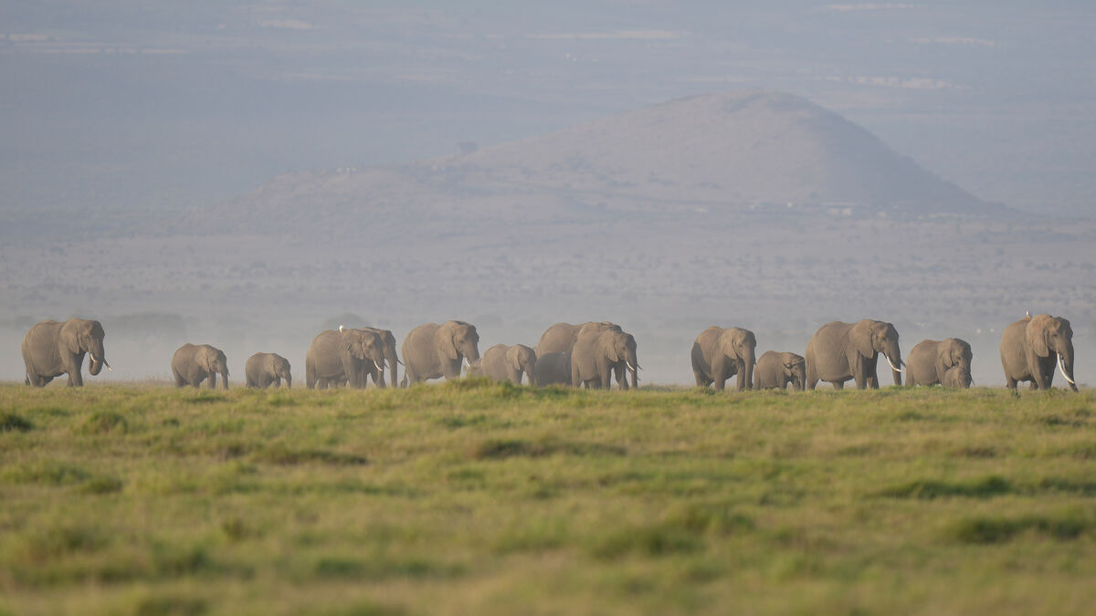 Kenya investigates deaths of 15