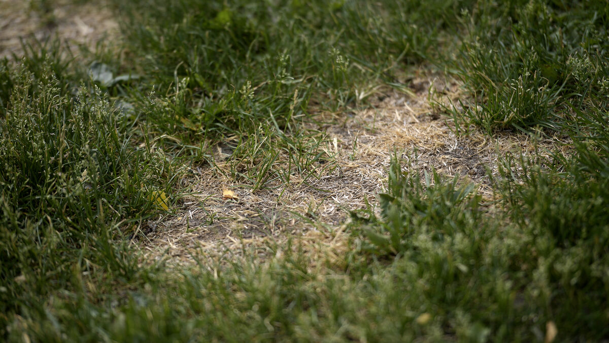 Area in Småland cordoned off after high arsenic levels found in soil