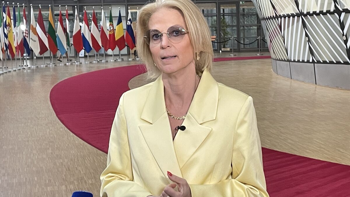 Svantesson: EU gives green light