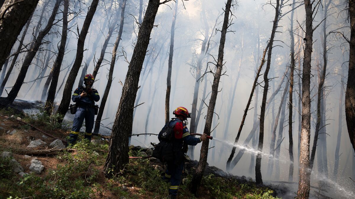 Hundreds of firefighters battle wildfire