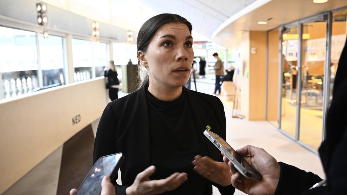 Red-Greens seek to block tougher family immigration rules
