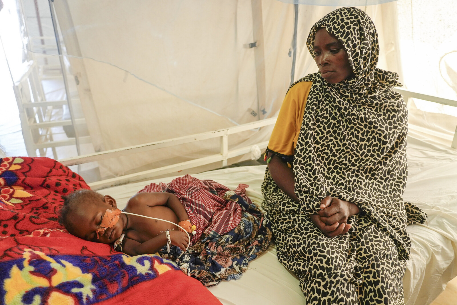 Global Hunger Declines in 2024