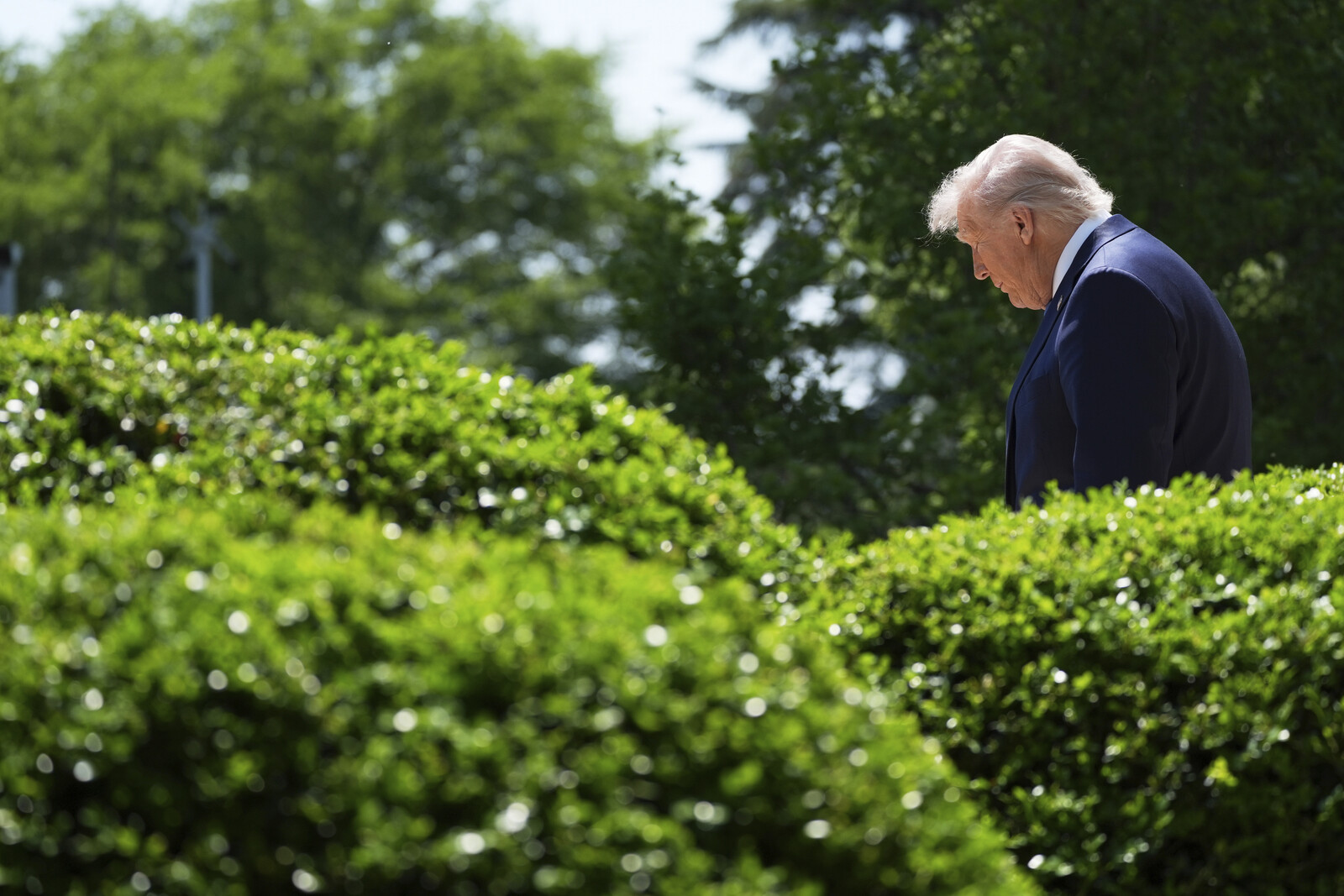 Trump Takes Over Rose Garden Duties Amid Melania's Absence