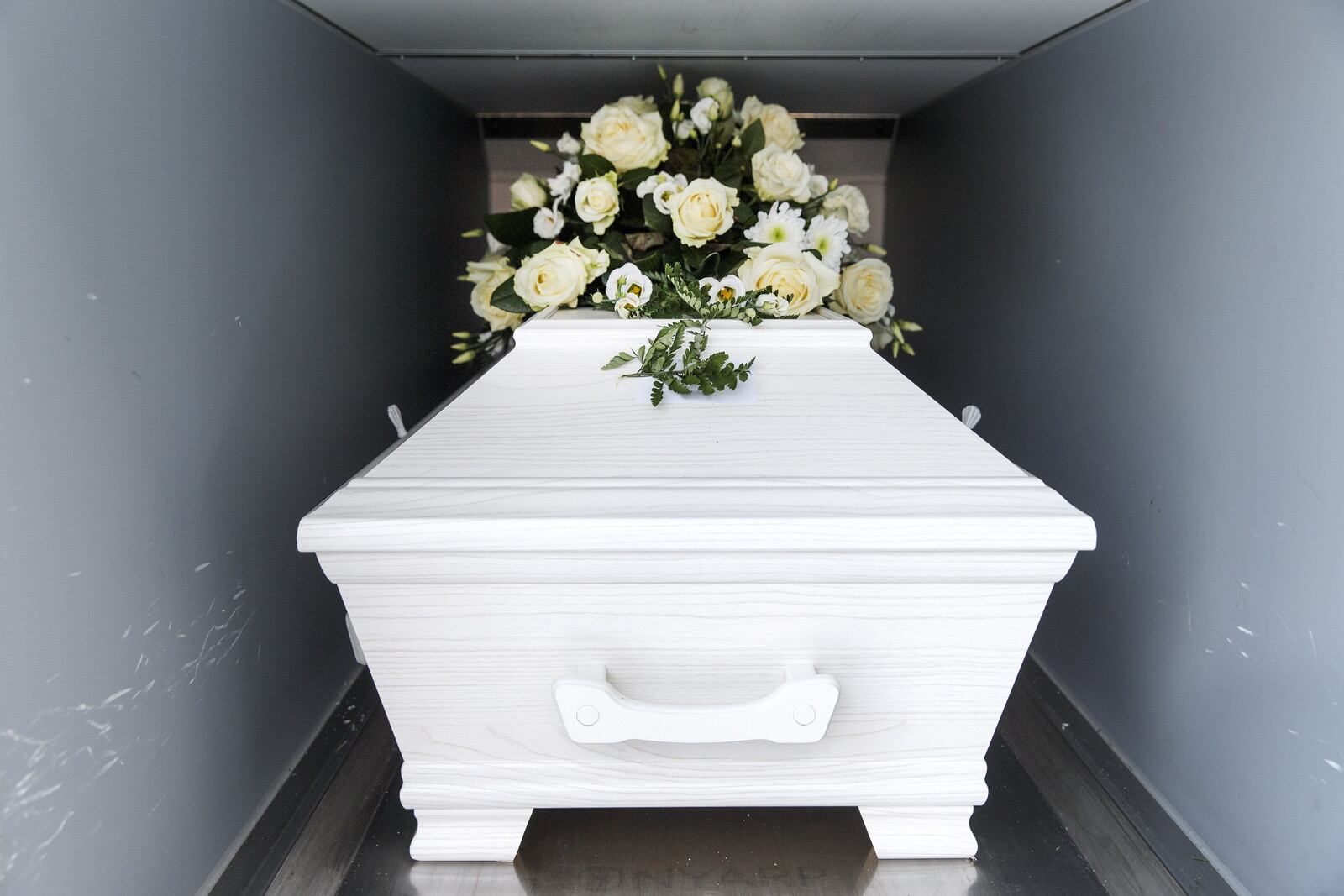 Investigator Recommends Against Reintroducing Cousin