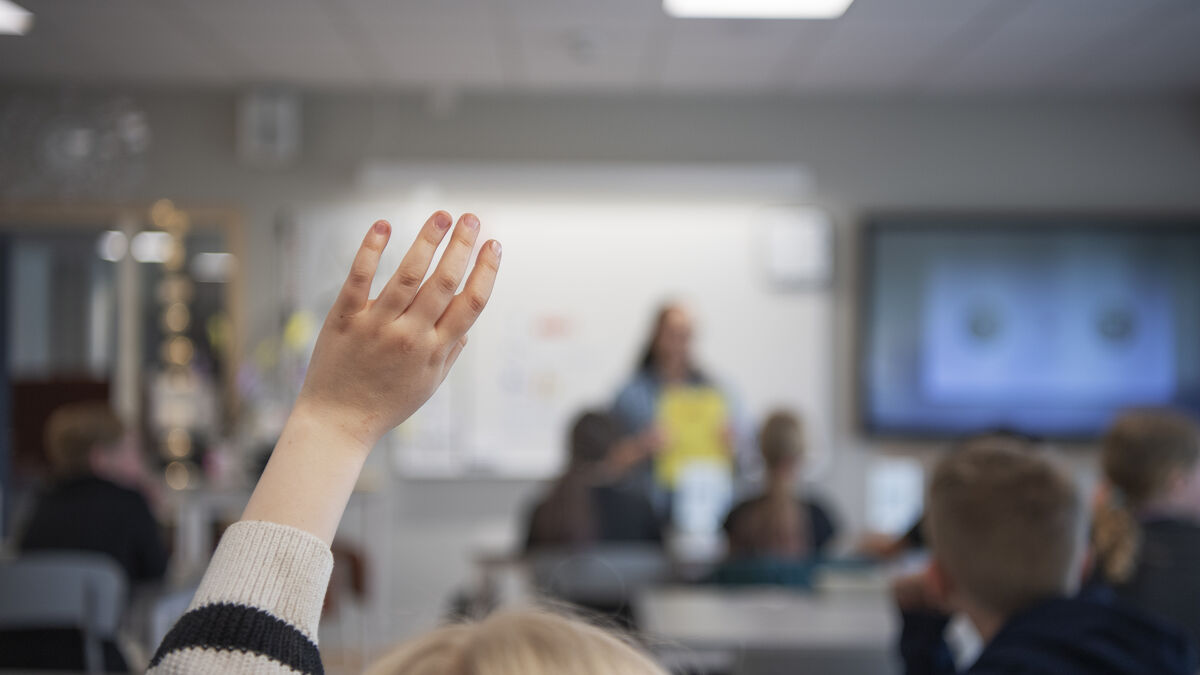 Social Democrats propose daily reading in primary schools to boost literacy