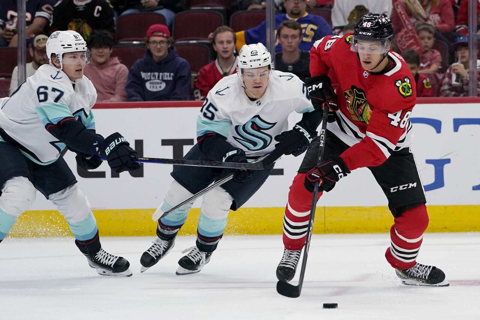 Filip Roos Returns to Färjestad from AHL to Strengthen Defense