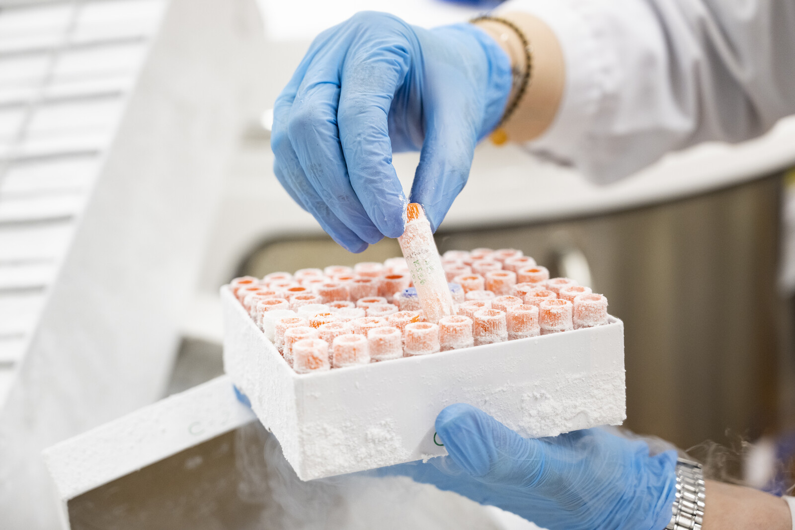 This is how cancer-stricken children can be treated more effectively