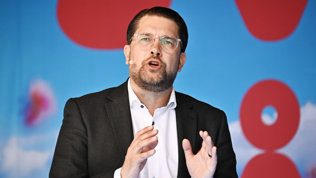 Åkesson: I will attend votes when I need to