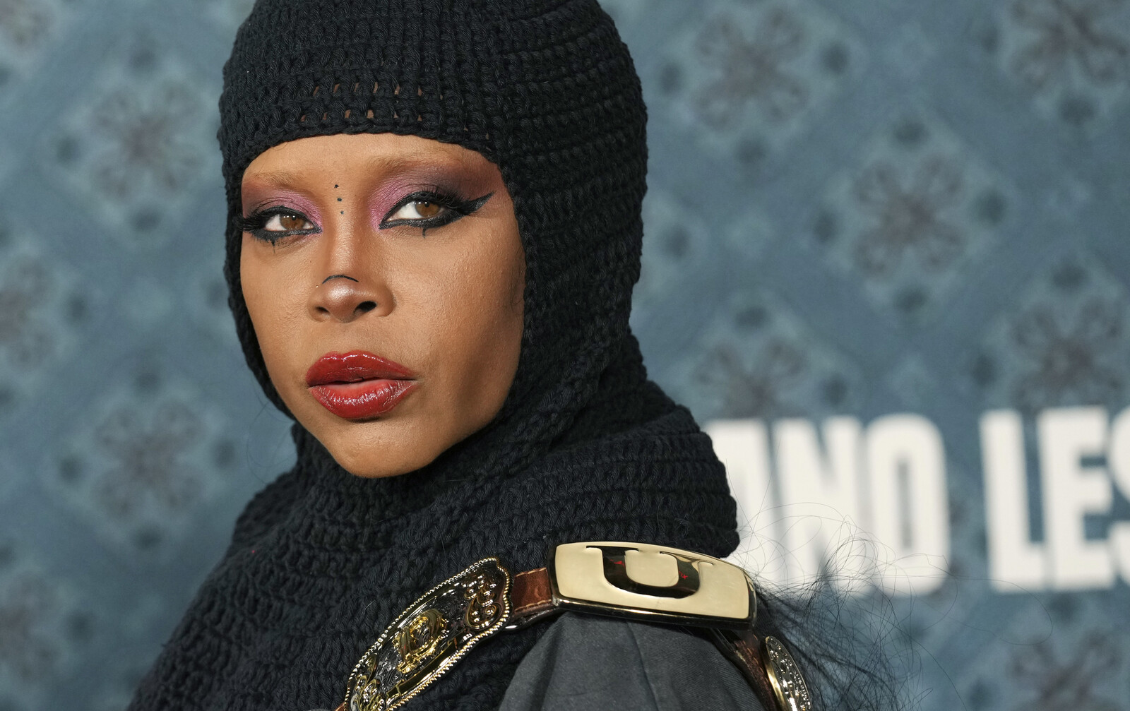 Erykah Badu Returns: New Album in the Works After 15-Year Hiatus