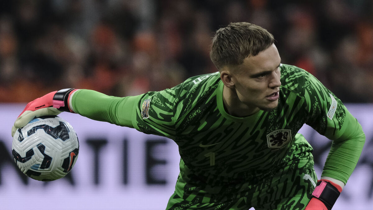 Goalkeeper concerns for Sweden's World Cup opponents as Bart Verbruggen suffers hip injury