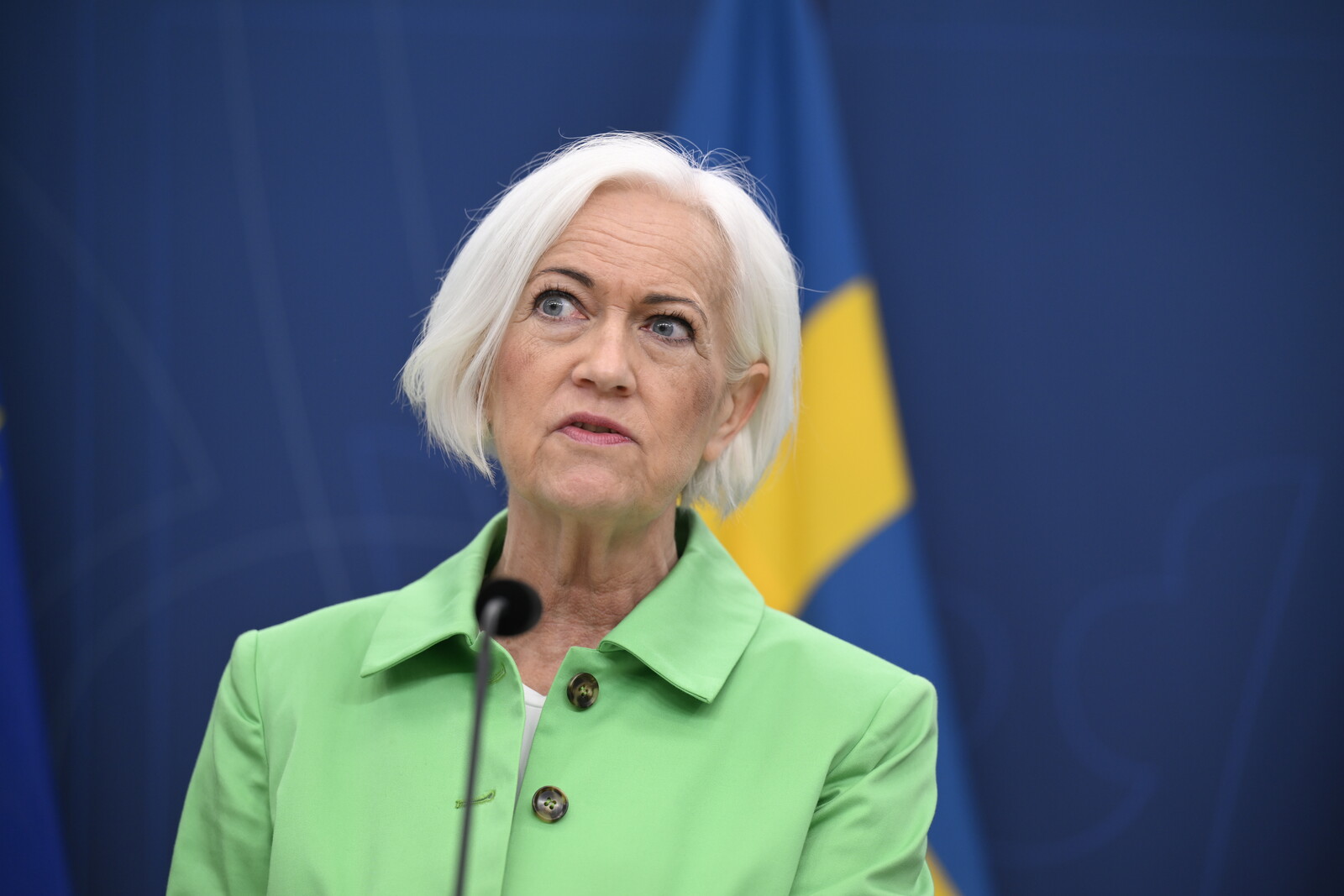 Swedish Government Allocates More Funds to Reduce Healthcare Queues