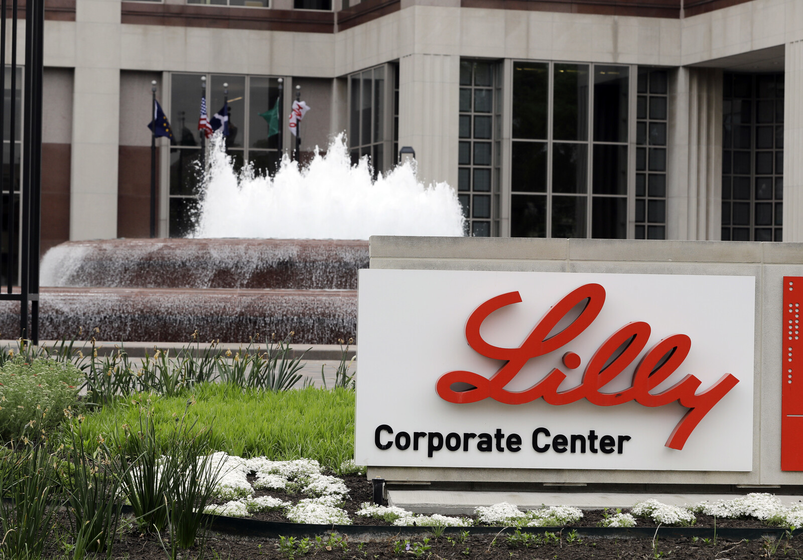 Eli Lilly Stock Falls on Study Results, Novo Nordisk Shares Surge