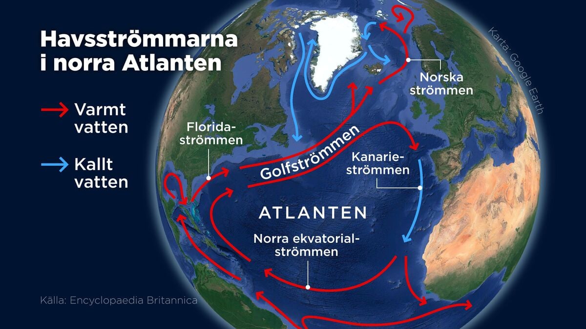Is the Gulf Stream at Risk of Collapse? Scientists Remain Deeply Divided