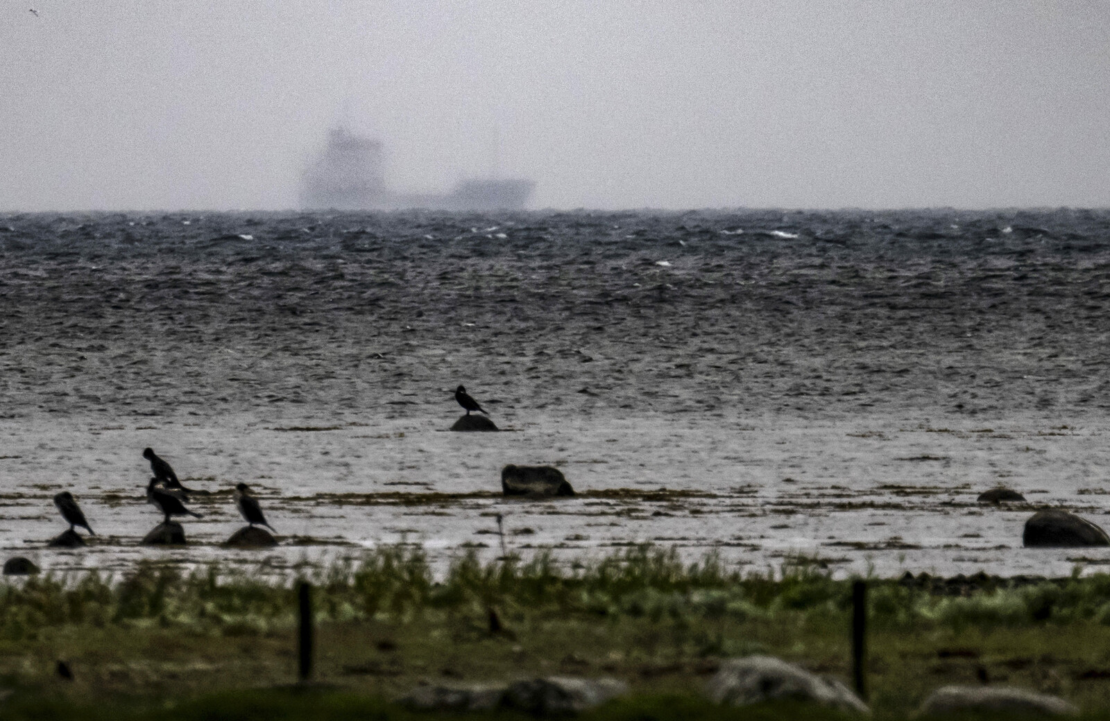 Man Detained After Bulk Carrier Runs Aground Near Malmö