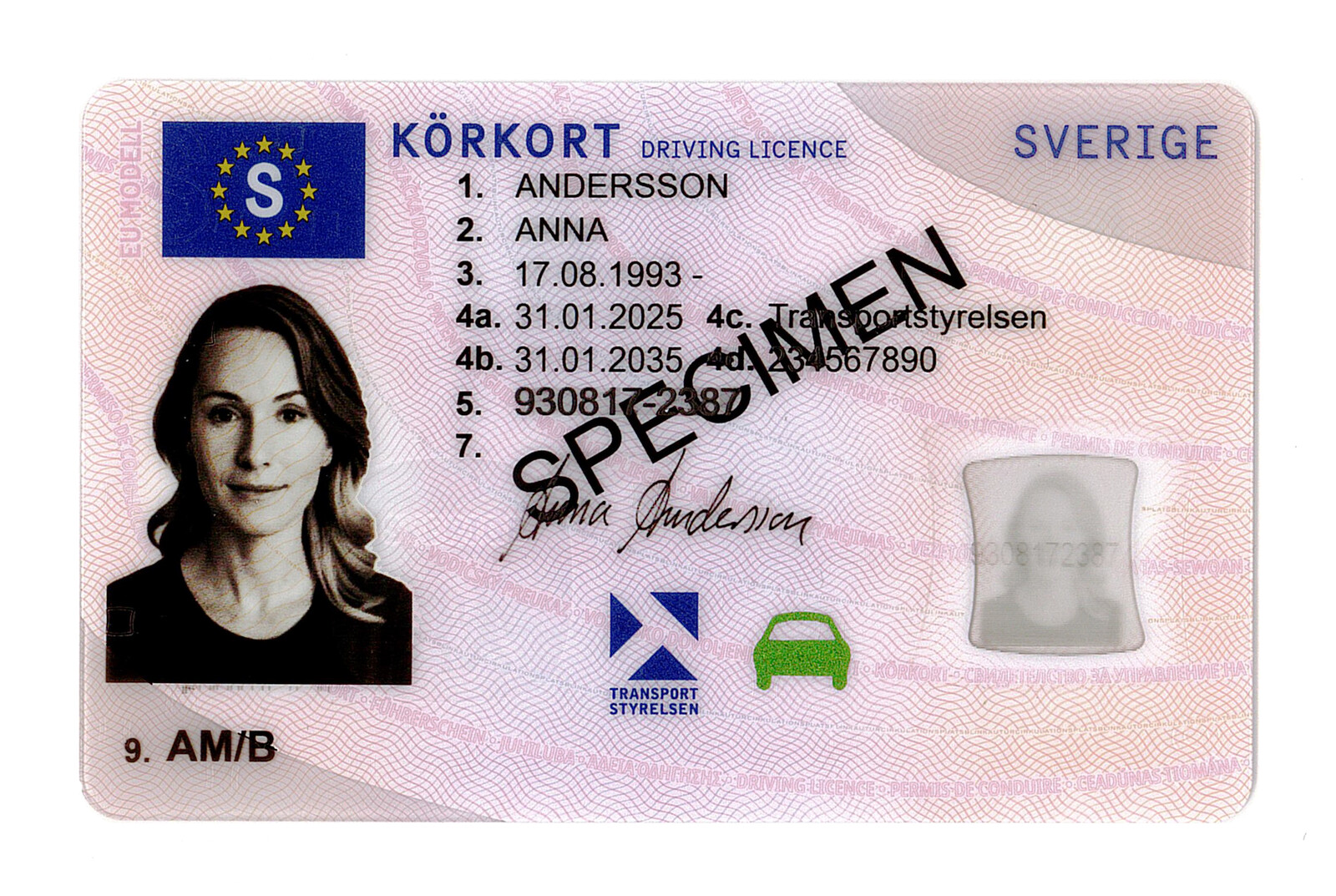 This is the new driving license | Sweden Herald