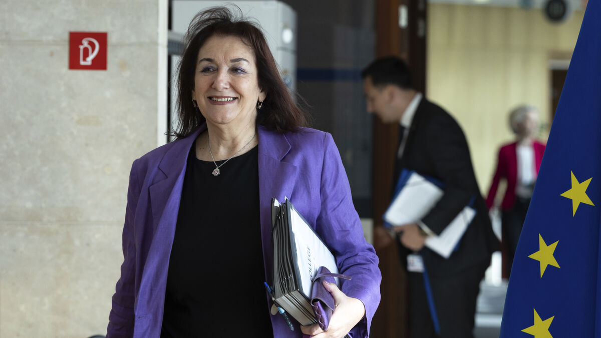 EU Commissioner Šuica to represent