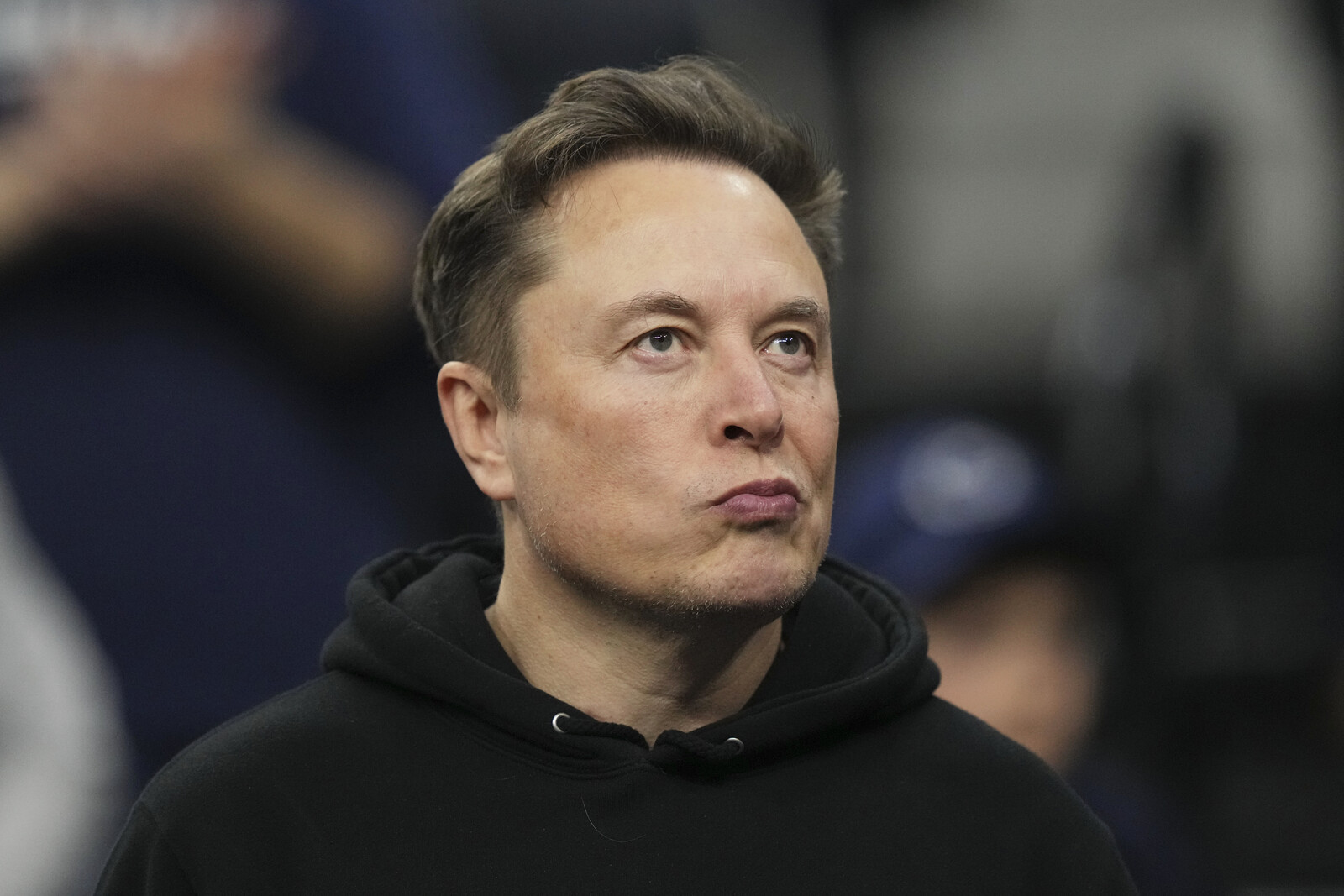 Musk Advocates for US-Europe Free Trade Zone