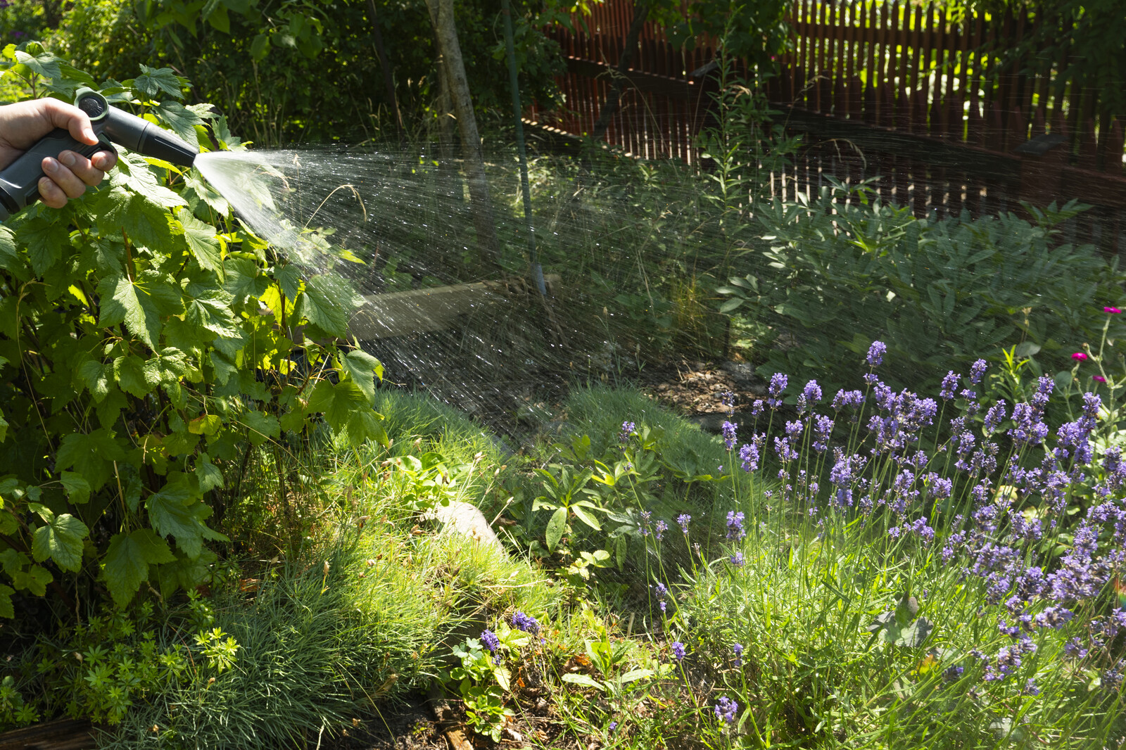 Stockholm Tap Water Shortage Persists:
