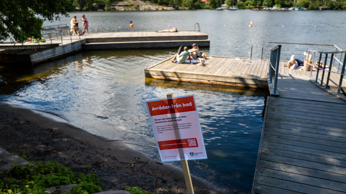 Toxic blue-green algae now in most of the Baltic Sea can cause fever