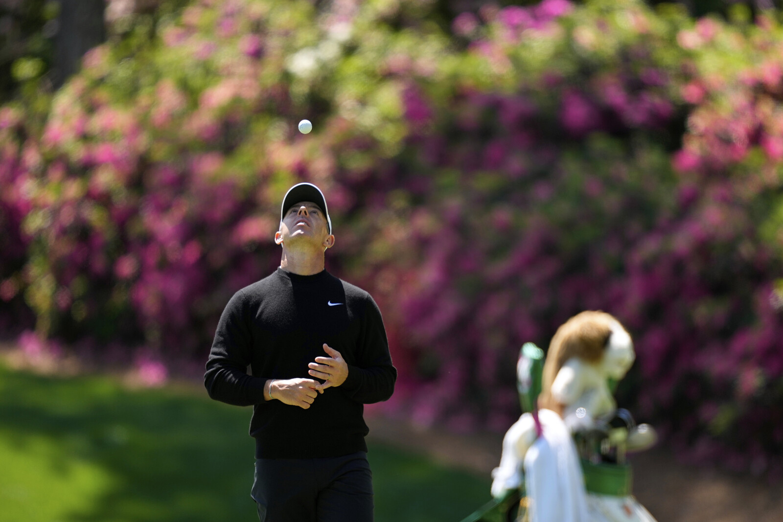 Rory McIlroy Eyes Masters Glory in Eleventh Attempt at Career Grand Slam
